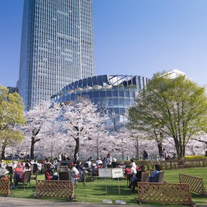 東京ミッドタウンに花見ができるラウンジ登場! 一流ホテルの桜カクテルも
