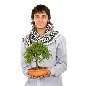 "盆栽"は外国人にどう見える? - 「植物をのびのびと成長させない」の声も