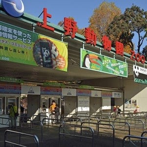 10月1日"都民の日"は無料! 上野動物園や葛西臨海水族園、美術館の企画展も