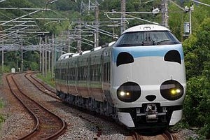 JR西日本「パンダくろしお号」10月に臨時列車を運転、新大阪～白浜間を往復