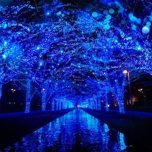 渋谷の街がイルミで青一色に! 「青の洞窟 SHIBUYA」開催