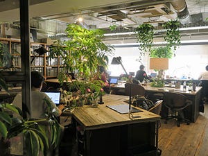 働き方改革に新しい波！ 心地よいオフィス環境を実現する“緑”とは