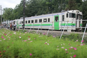 「北海道＆東日本パス」2020年も発売、快速・普通列車など乗り放題