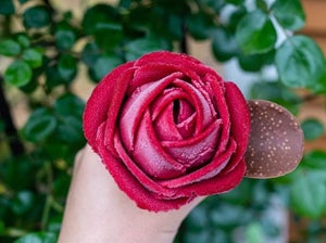 【衝撃】バラ園の「アイスのバラ」が本物顔負けのクオリティ!「薔薇の花かと思った」「凄く綺麗で美味しそう」の声