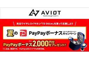 AVIOTイヤホン「TE-D01m」購入で、2,000円分のPayPayボーナス