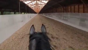【驚きの映像】まるで競走馬に乗っている気分! 全力で駆ける馬上から撮影した動画に「すごい爽快なスピード感! 」とツイッター感動 - ライダーの技術力にも驚きの声