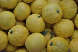 柚子の栄養素とは? 効果・効能や美味しい柚子の選び方も紹介	