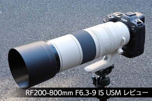 キヤノン「RF200-800mm F6.3-9」レビュー　心地よき使用感の源は孤高のテレ端焦点距離にアリ！