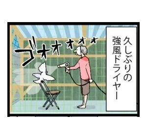 漫画「いたずらオウムの生活雑記」 第360回 強風ドライヤー
