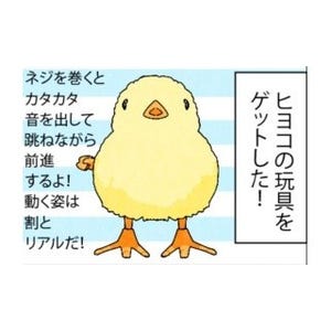 漫画「いたずらオウムの生活雑記」 第426回 ヒヨコォォー!!