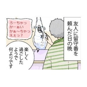 漫画「いたずらオウムの生活雑記」 第484回 目を離した隙にゴリラ