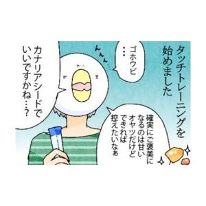 漫画「いたずらオウムの生活雑記」 第492回 タッチ&ご褒美!!