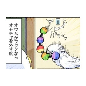 漫画「いたずらオウムの生活雑記」 第514回 戻すなオラァ!