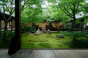 夏の京都で涼んできた 第1回 禅寺で部屋の影から「名庭」を鑑賞する旅
