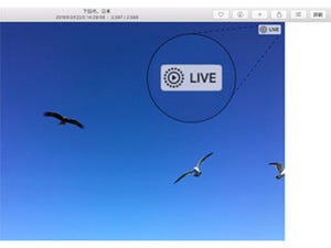 新・OS X ハッキング! 第193回 Yet Anotherな「Live Photos」の鑑賞方法