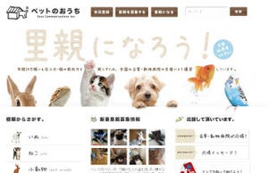 犬猫の里親になろう! 第1回 里親募集サイト「ペットのおうち」で犬猫の里親になろう!