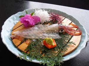 口コミで知る全国の名物グルメ 第7回 透き通ったプリプリの「イカの活造り」を生み出した佐賀県呼子町の「イカ」