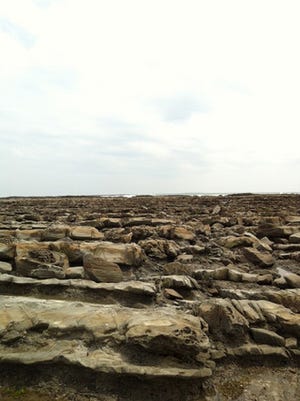 観光で行きたい全国の穴場スポット 第15回 奇岩でできた「鬼の洗濯板」が島を囲む宮崎の「青島」