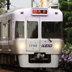 鉄道写真 コレクション2014 第81回 京王電鉄1000系、あじさいが咲く井の頭線走る