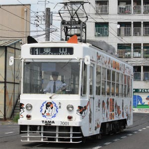 鉄道写真コレクション 第158回 岡山電気軌道の人気車両「たま電車」に「猫耳」が付いた!