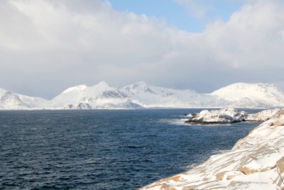 新提案、グルメな旅ならノルウェーへ 