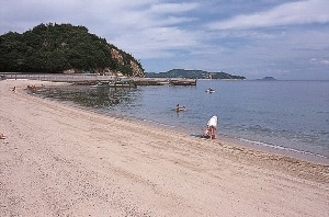 瀬戸内海に浮かぶ無人島に上陸してレジャーを楽しむ方法を知りたい!