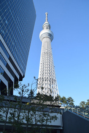 地上450mのトイレ!?　東京スカイツリーの「天望回廊」のトイレはどうなっているの? (1) 給排水の仕組みは以外とシンプルだった