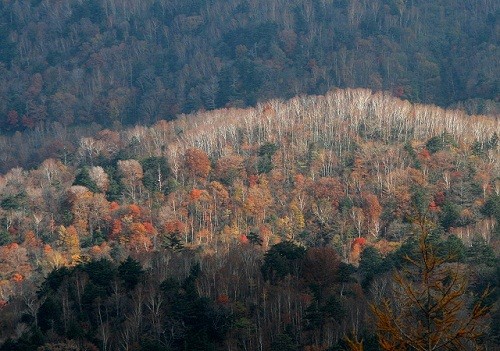 デート百景 (10) 栃木県日光市の奥日光で大人のドライブデート