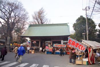 東京から一時間の田舎暮らし! 「湘南番外地スローライフ」 (30) 関東一早い小田原のだるま市で師走を感じる