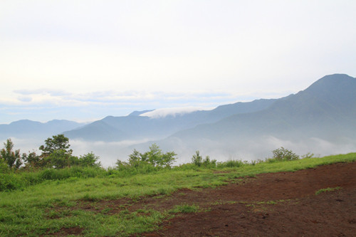 観光で行きたい全国の穴場スポット (30) 山梨県富士河口湖町・鳴沢村、富士山の裾に広がる神秘の地「青木ヶ原樹海」