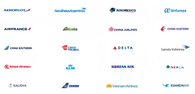 スカイチーム加盟航空会社ロゴ画像