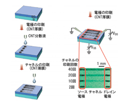 東北大、従来比で桁違いに特性の優れたCNT-TFTの作製方法を開発