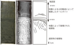 産総研ら、東北地方太平洋地震により変形した堆積物を仙台沖にて発見