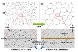 東北大と東大、セラミックスの極微量不純物が形成する界面超構造を発見