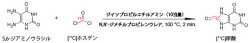 理研ら、炭素の放射性同位体で標識して生体内の尿酸分布などの可視化に成功