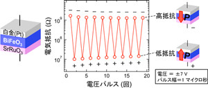 産総研、新たな原理による強誘電抵抗変化メモリを開発