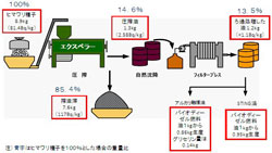 農研機構、福島のヒマワリからバイオ燃料製造 -放射性セシウムは検出されず