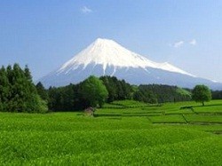 富士山頂から銘茶が届く!? 静岡県が新茶プレゼントキャンペーン実施