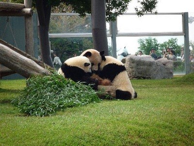 行ってよかった動物園水族館は? ランキング2012を発表