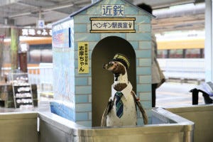 近鉄賢島駅のペンギン駅長「志摩ちゃん」退任、ペンギン列車は今年も継続