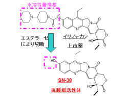 東北大など、独自のナノ技術を用いて抗がん薬「SN-38」のナノ純薬化に成功