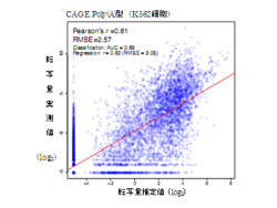 理研、ENCODE計画に参加してヒトゲノムの80%の領域に機能があることを解明