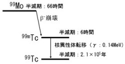 JAEA、核医学診断用のラジオアイソトープの国内生産技術の開発に進展