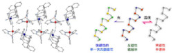 筑波大、分子回路実現のカギとなる「機能性分子ワイヤー」の開発に成功