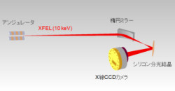 理研ら、X線自由電子レーザーのパルス幅をアト秒まで評価可能な手法を開発