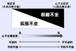 名大、糖尿病による心不全の発症メカニズムを解明 