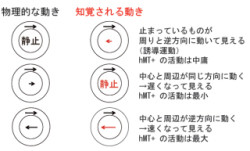 東大、「誘導運動錯覚」体験中の脳の活動を調べて神経相関を同定