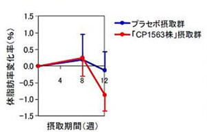 乳酸菌を摂取すると体脂肪を低減させることができる 