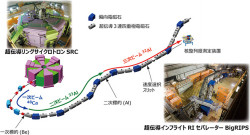 理研など、RIビームのスピンの向きを効率よく一定方向にそろえる手法を開発