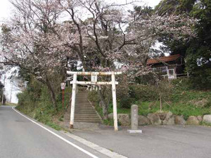 鳥取県の「木の根神社」には、思わず赤面してしまう御神体がある!?